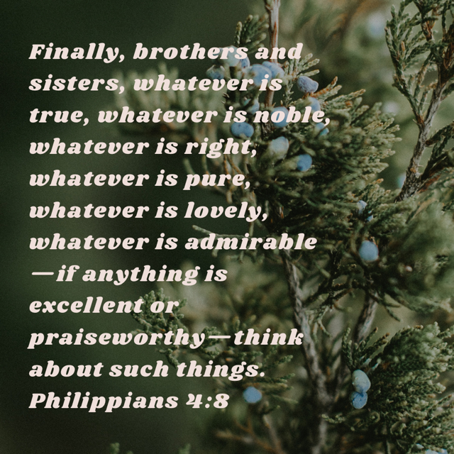 Philippians 4:8 scripture with graphic